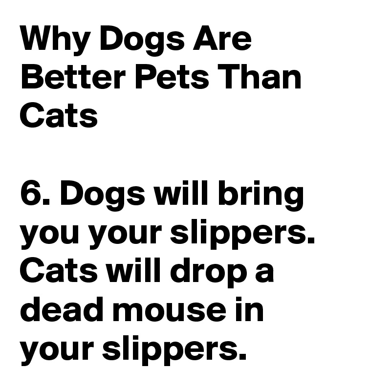 Why Dogs Are Better Pets Than Cats

6. Dogs will bring you your slippers. Cats will drop a dead mouse in
your slippers.