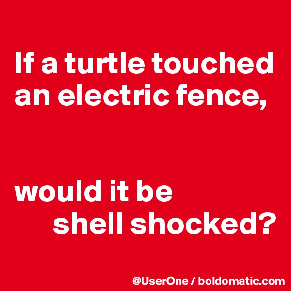 
If a turtle touched an electric fence,


would it be
      shell shocked?
