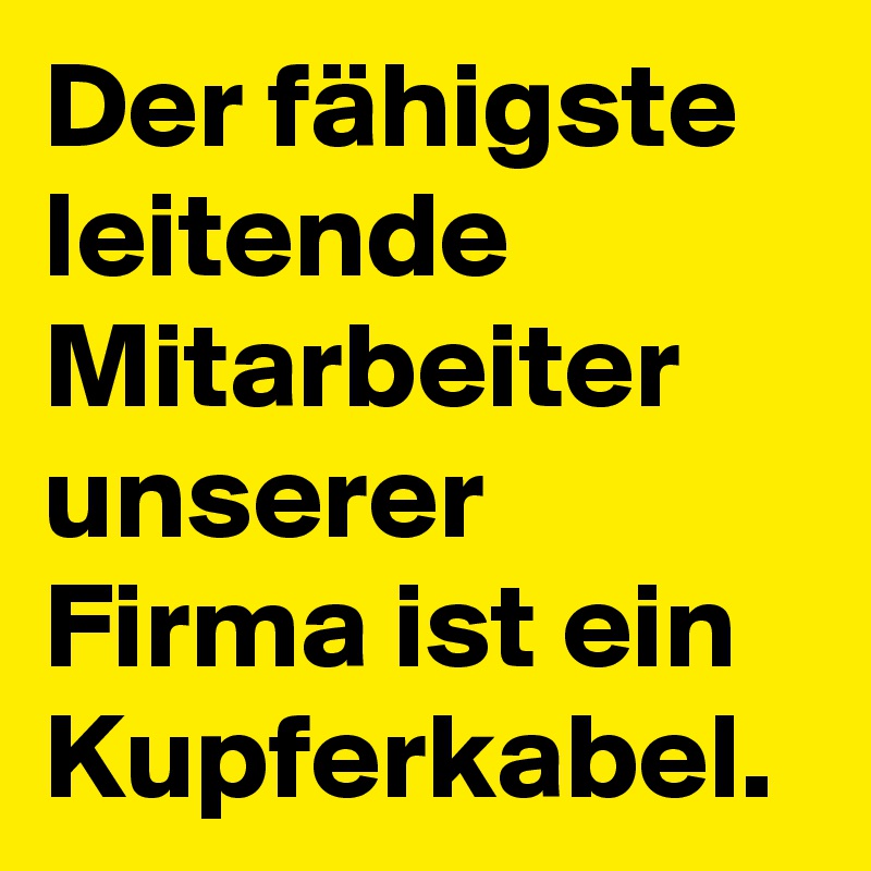 Der fähigste leitende Mitarbeiter unserer Firma ist ein Kupferkabel.