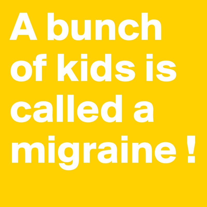 A bunch of kids is called a migraine !
