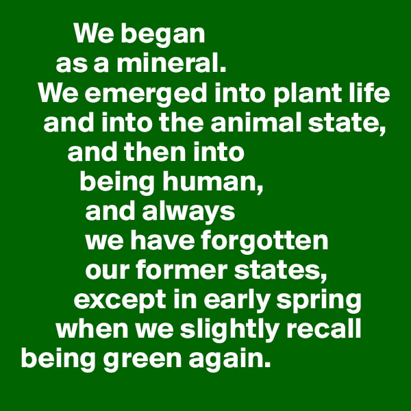          We began 
      as a mineral.     
   We emerged into plant life 
    and into the animal state,      
        and then into 
          being human, 
           and always 
           we have forgotten 
           our former states,          
         except in early spring 
      when we slightly recall being green again.  