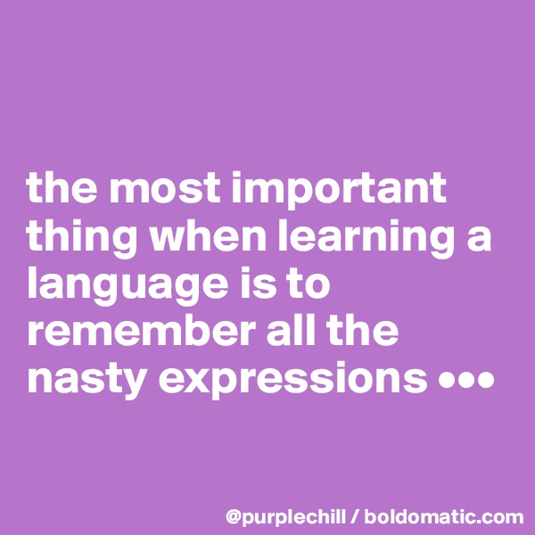 


the most important thing when learning a language is to remember all the nasty expressions •••


