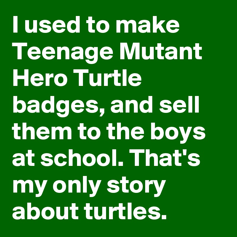 I used to make Teenage Mutant Hero Turtle badges, and sell them to the boys at school. That's my only story about turtles. 