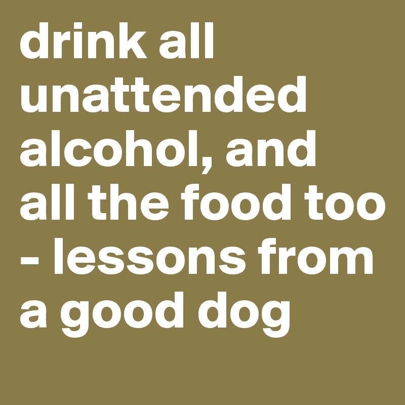 drink all unattended alcohol, and all the food too - lessons from a good dog