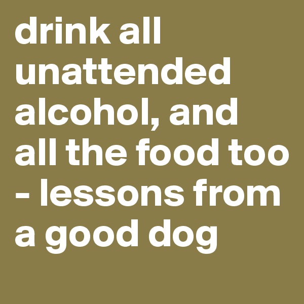 drink all unattended alcohol, and all the food too - lessons from a good dog