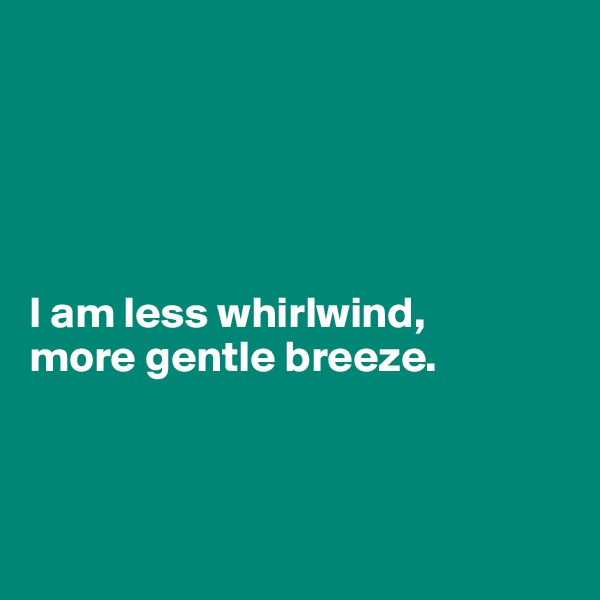 




 
I am less whirlwind, 
more gentle breeze.



