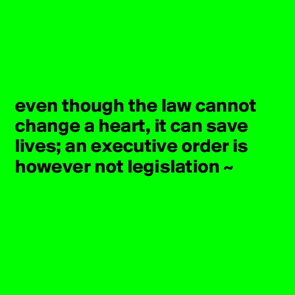 



even though the law cannot change a heart, it can save lives; an executive order is however not legislation ~




