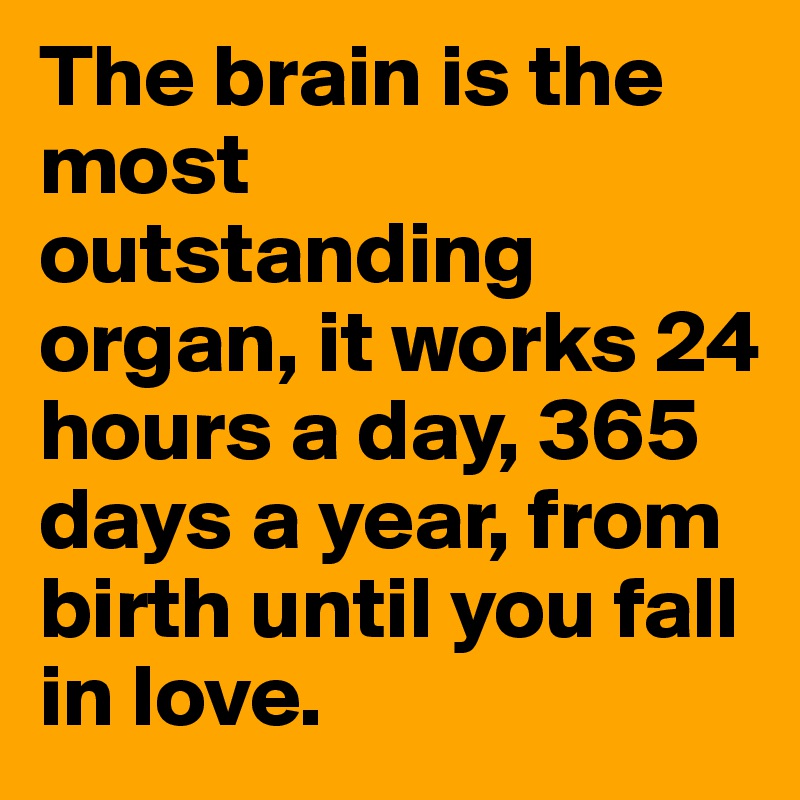 The brain is the most outstanding organ, it works 24 hours a day, 365 days a year, from birth until you fall in love.  