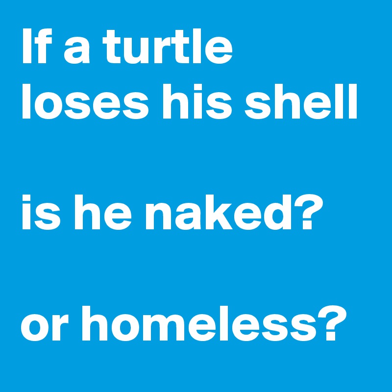 If a turtle loses his shell

is he naked?

or homeless?
