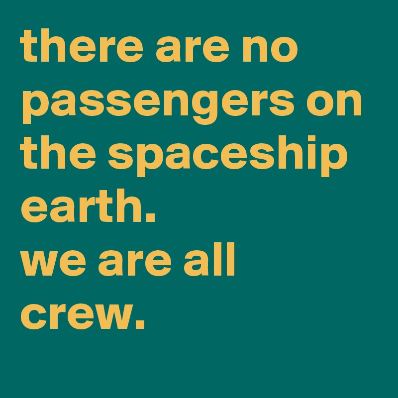there are no passengers on the spaceship earth. 
we are all crew.