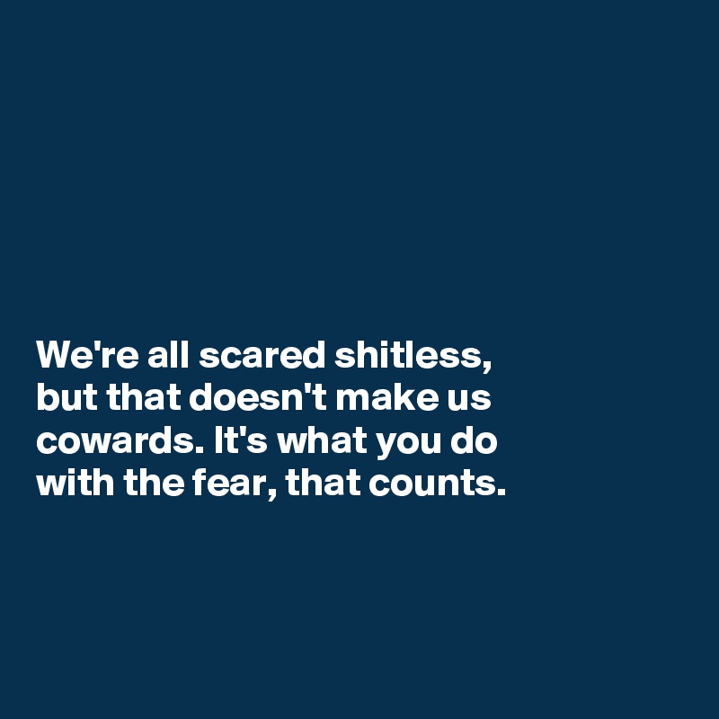 






We're all scared shitless, 
but that doesn't make us 
cowards. It's what you do 
with the fear, that counts.




