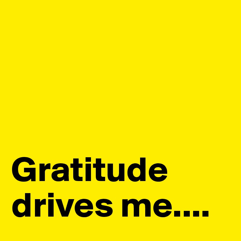            



Gratitude drives me....               