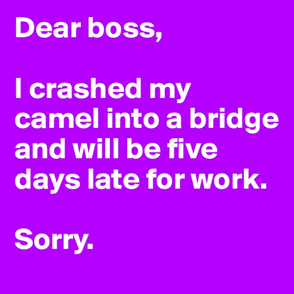 Dear boss, 

I crashed my camel into a bridge and will be five days late for work.

Sorry. 