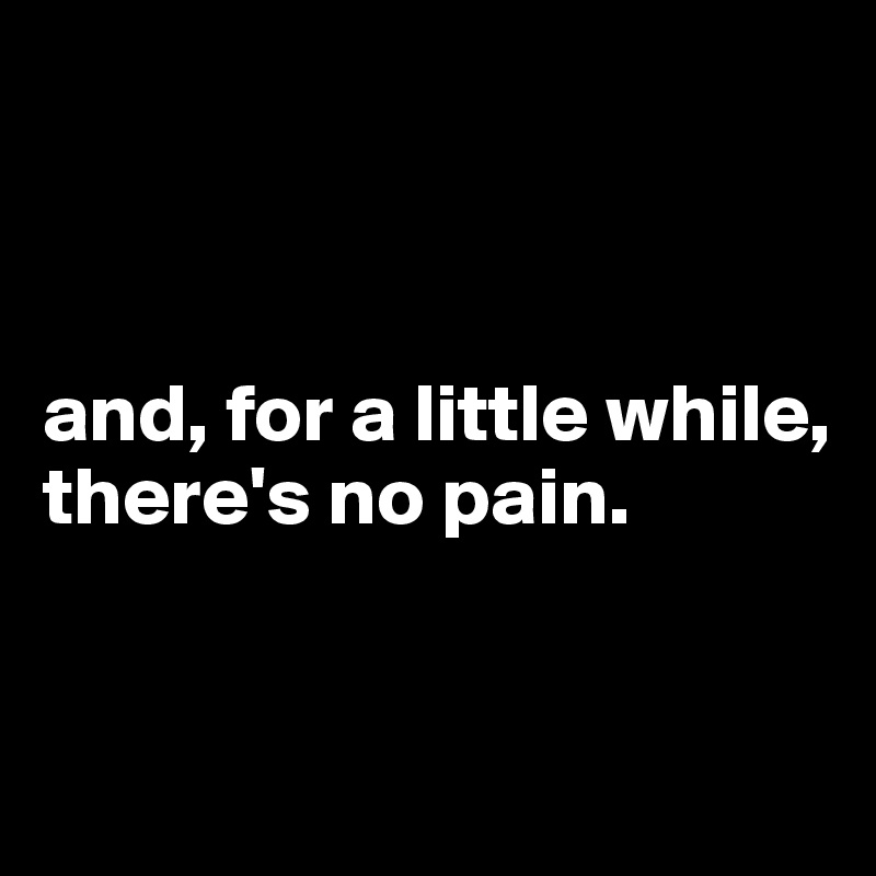 



and, for a little while, there's no pain. 


