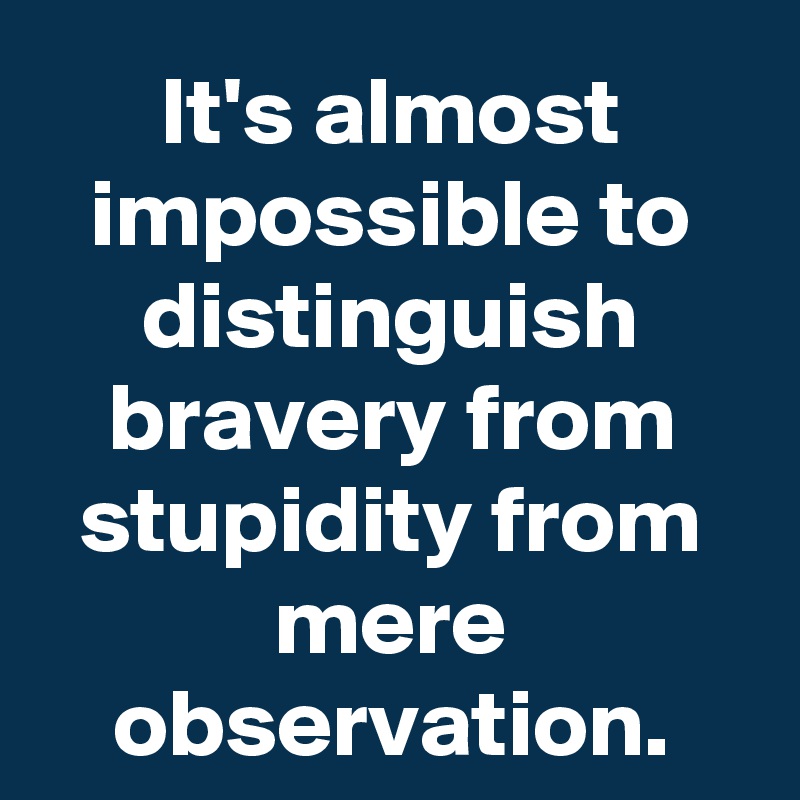 It's almost impossible to distinguish bravery from stupidity from mere observation.