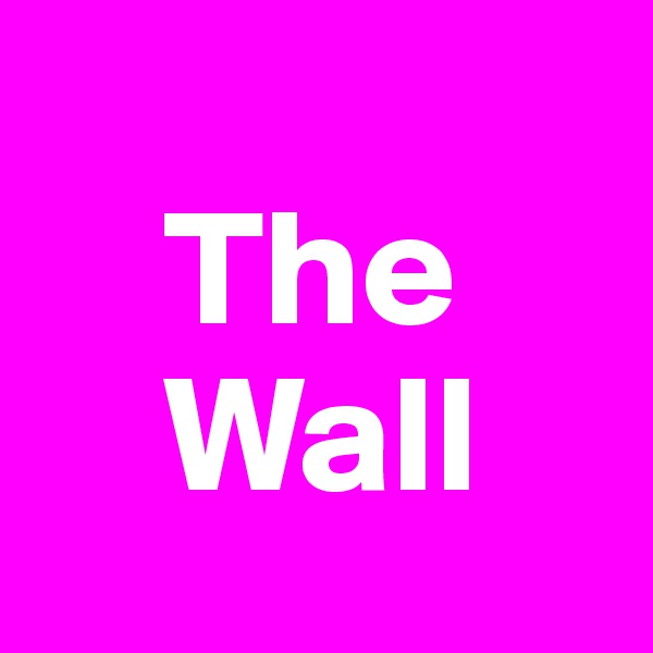 
    The    
    Wall