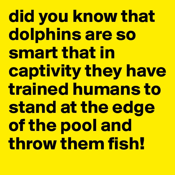 did you know that dolphins are so smart that in captivity they have trained humans to stand at the edge of the pool and throw them fish! 