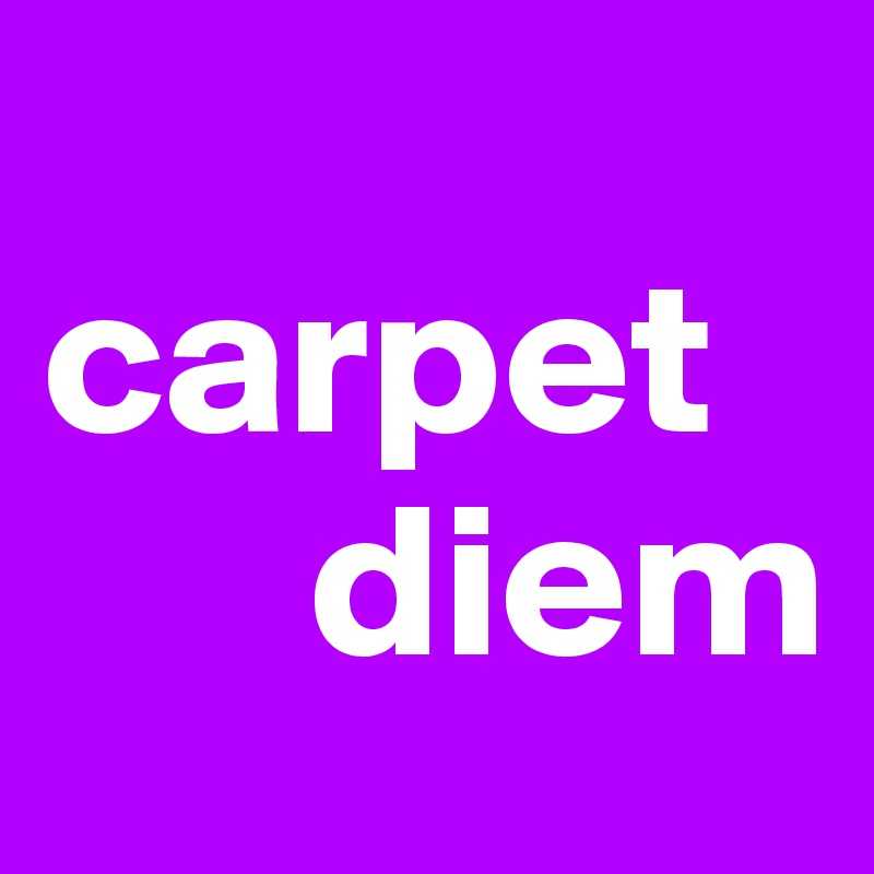 
carpet
      diem