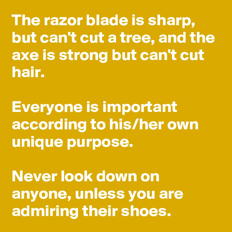The razor blade is sharp, but can't cut a tree, and the axe is strong but can't cut hair.

Everyone is important according to his/her own unique purpose.

Never look down on anyone, unless you are admiring their shoes.