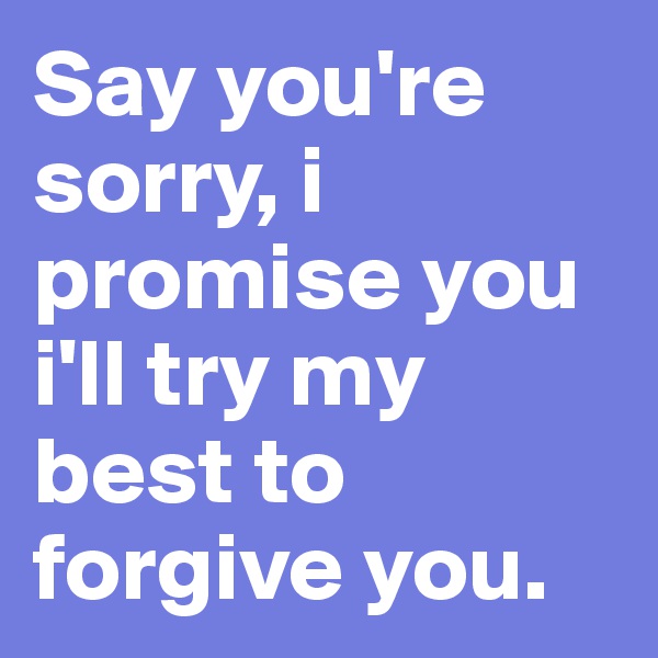 Say you're sorry, i promise you i'll try my best to forgive you.