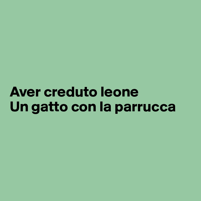 




Aver creduto leone
Un gatto con la parrucca




