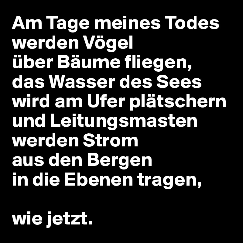Am Tage meines Todes
werden Vögel
über Bäume fliegen,
das Wasser des Sees wird am Ufer plätschern
und Leitungsmasten werden Strom
aus den Bergen
in die Ebenen tragen,

wie jetzt.