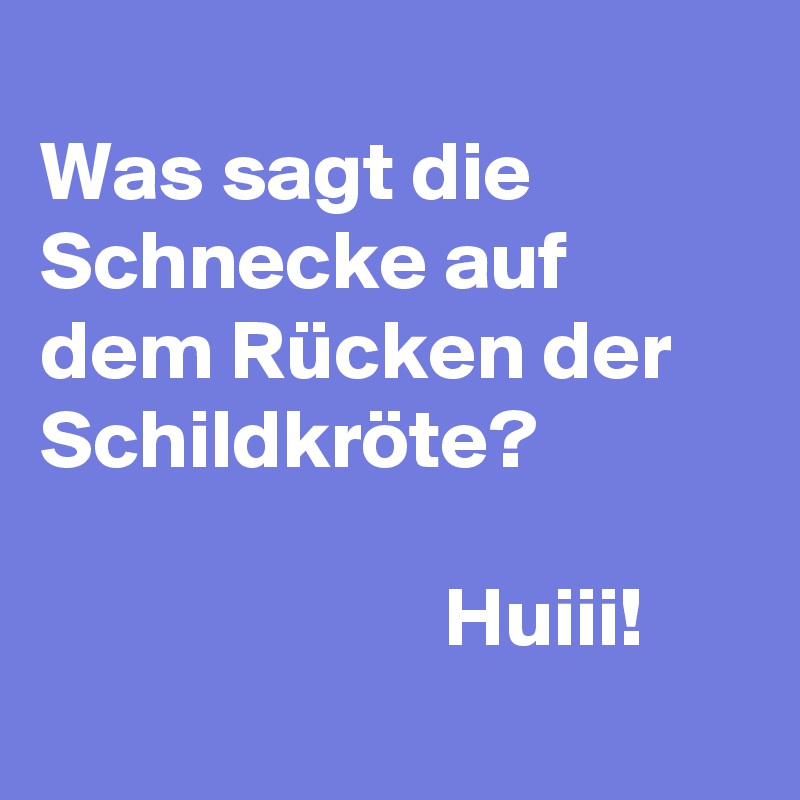 
Was sagt die Schnecke auf dem Rücken der Schildkröte?

                        Huiii!
