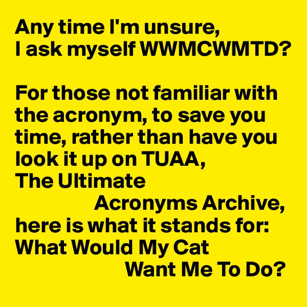 Any time I'm unsure,
I ask myself WWMCWMTD?

For those not familiar with the acronym, to save you time, rather than have you look it up on TUAA,	
The Ultimate
                  Acronyms Archive, here is what it stands for: 
What Would My Cat
                         Want Me To Do?