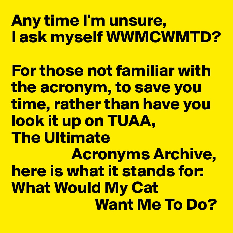 Any time I'm unsure,
I ask myself WWMCWMTD?

For those not familiar with the acronym, to save you time, rather than have you look it up on TUAA,	
The Ultimate
                  Acronyms Archive, here is what it stands for: 
What Would My Cat
                         Want Me To Do?