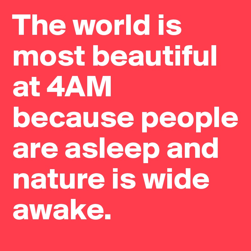 The world is most beautiful at 4AM because people are asleep and nature is wide awake.