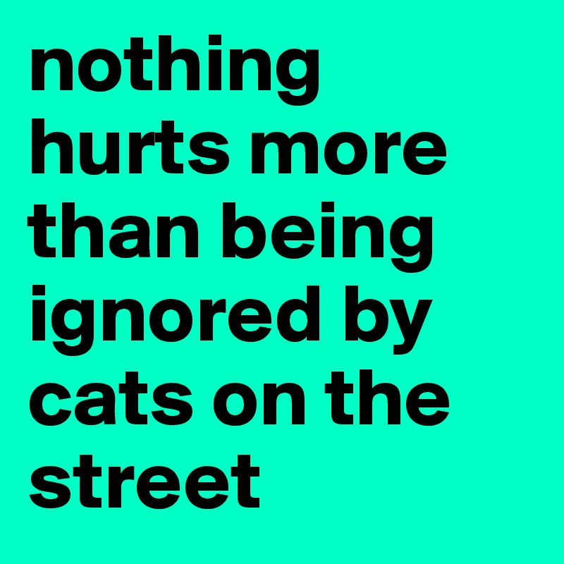 nothing hurts more than being ignored by cats on the street
