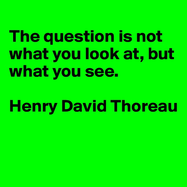
The question is not what you look at, but what you see. 

Henry David Thoreau


