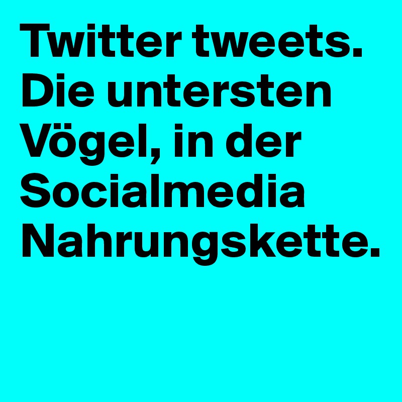 Twitter tweets. Die untersten Vögel, in der Socialmedia Nahrungskette.

