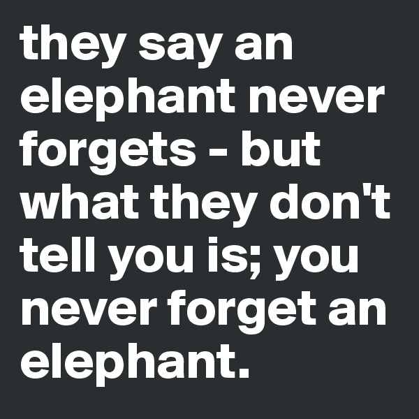 they say an elephant never forgets - but what they don't tell you is; you never forget an elephant.