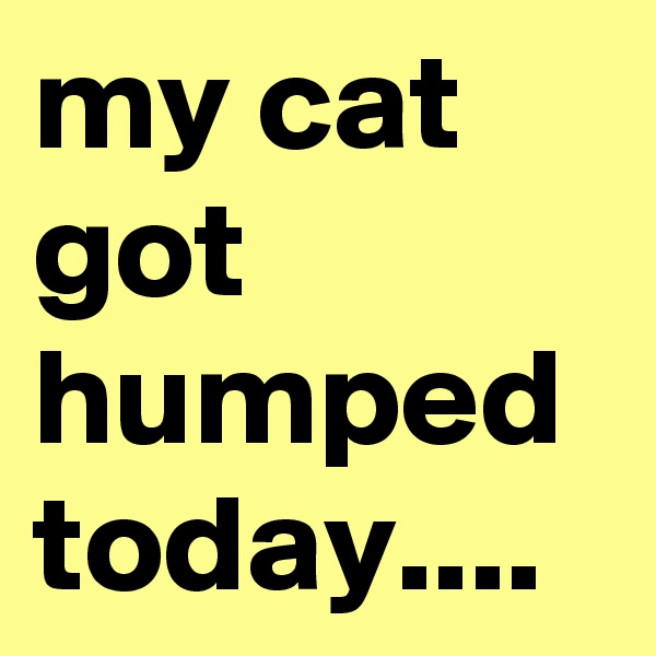 my cat got humped today....