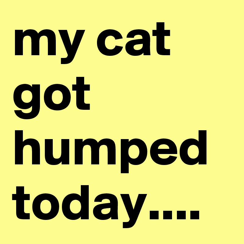 my cat got humped today....