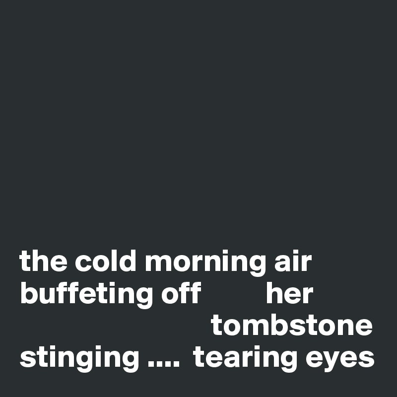 






the cold morning air
buffeting off          her         
                              tombstone
stinging ....  tearing eyes