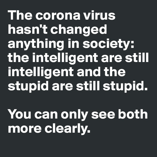 The corona virus hasn't changed anything in society: the intelligent are still intelligent and the stupid are still stupid.

You can only see both more clearly.