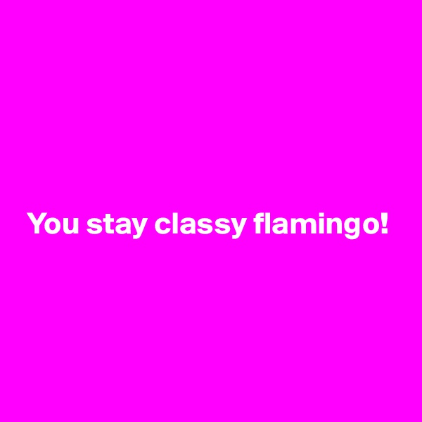 





 You stay classy flamingo!




