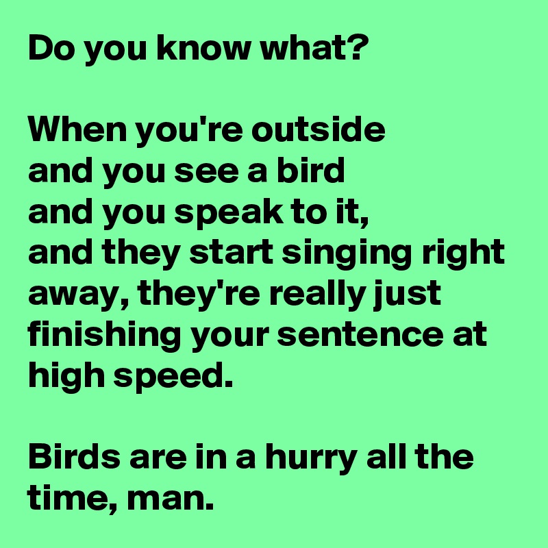 Do you know what?

When you're outside
and you see a bird 
and you speak to it,
and they start singing right away, they're really just finishing your sentence at high speed. 

Birds are in a hurry all the time, man. 