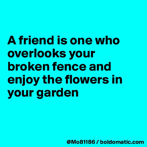

A friend is one who overlooks your broken fence and enjoy the flowers in your garden


