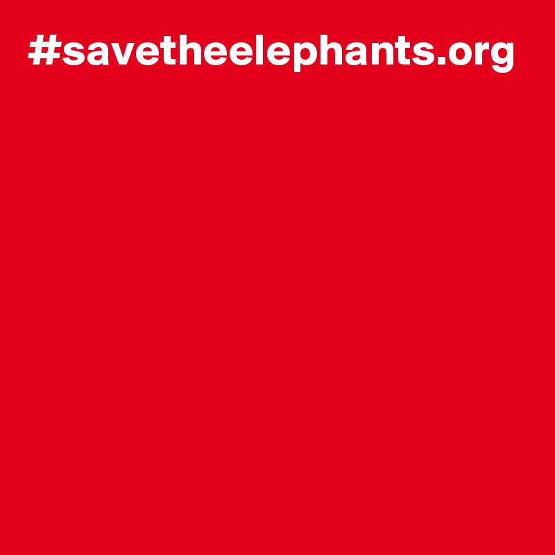 #savetheelephants.org