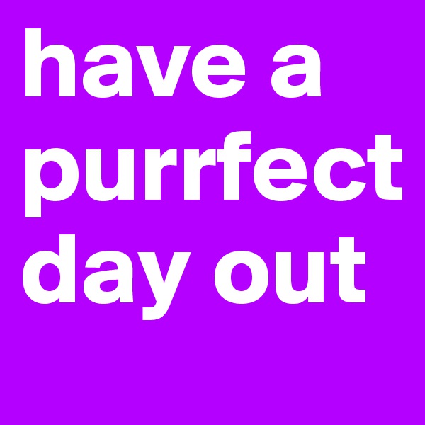 have a purrfect day out