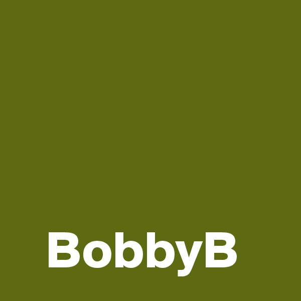 



   BobbyB