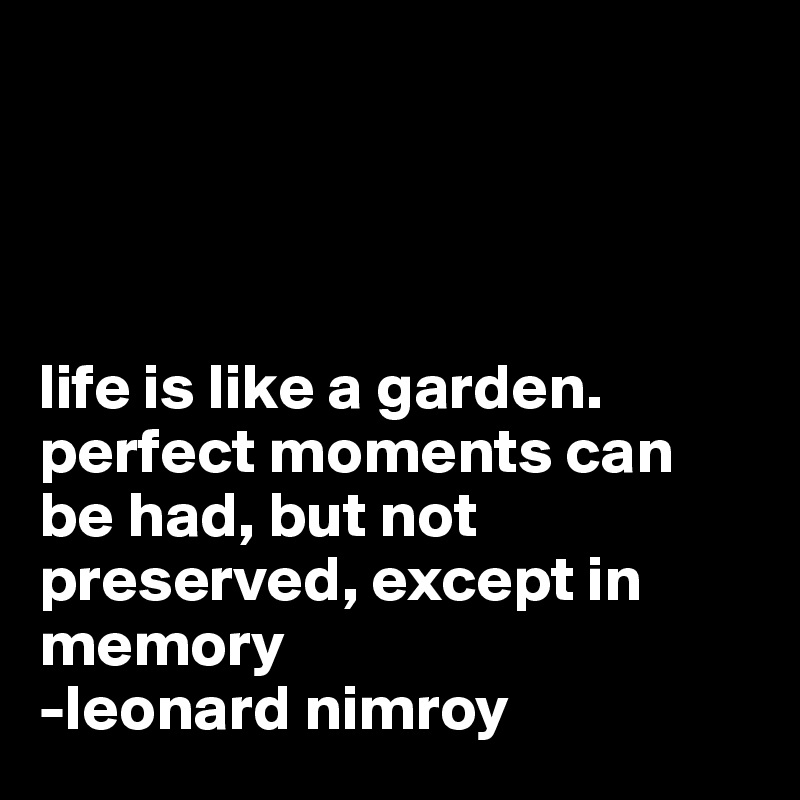 




life is like a garden. perfect moments can be had, but not preserved, except in memory
-leonard nimroy