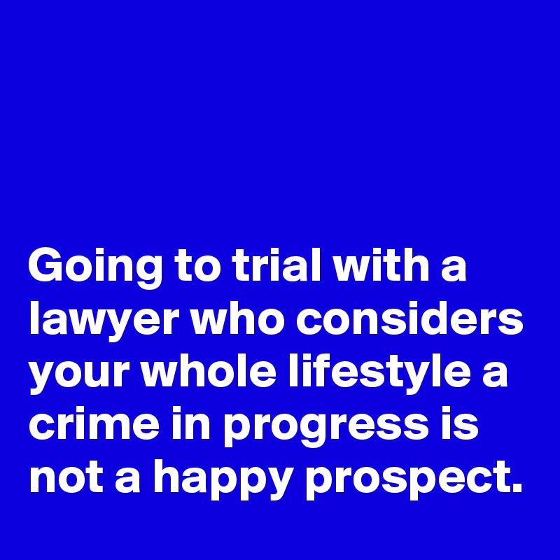 



Going to trial with a lawyer who considers your whole lifestyle a crime in progress is not a happy prospect.