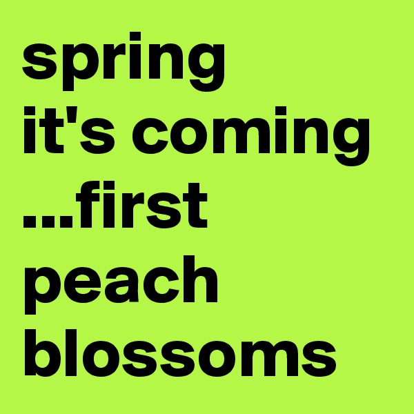 spring
it's coming
...first peach blossoms