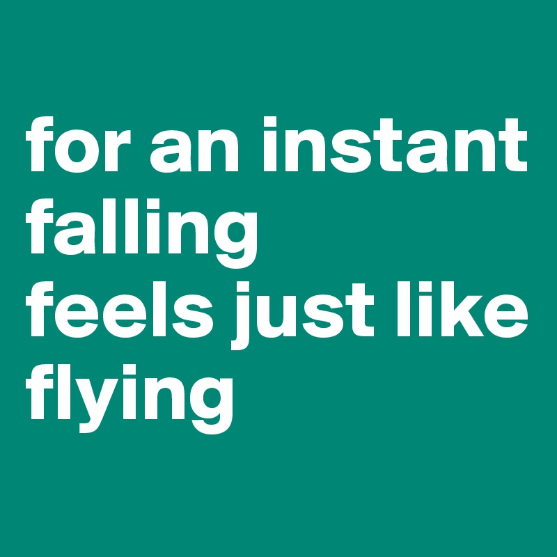 
for an instant 
falling 
feels just like
flying