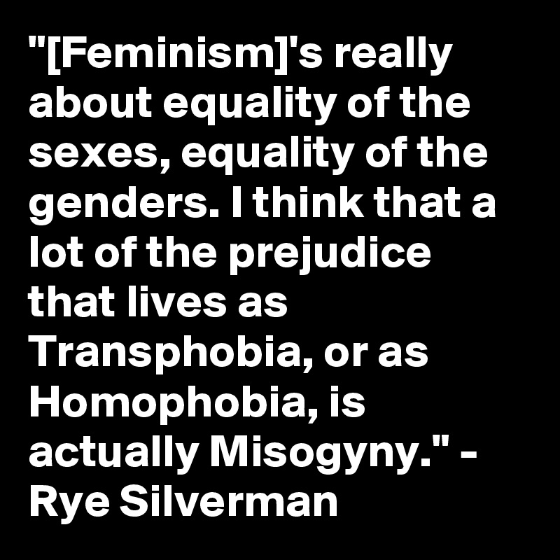 "[Feminism]'s really about equality of the sexes, equality of the genders. I think that a lot of the prejudice that lives as Transphobia, or as Homophobia, is actually Misogyny." - Rye Silverman