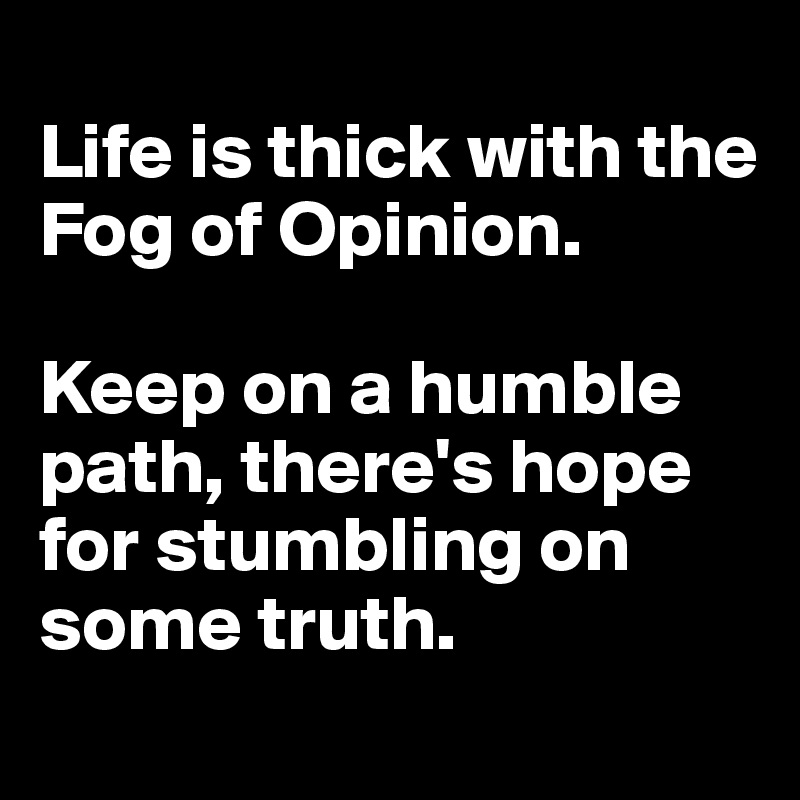 
Life is thick with the Fog of Opinion.  

Keep on a humble path, there's hope for stumbling on some truth.  
